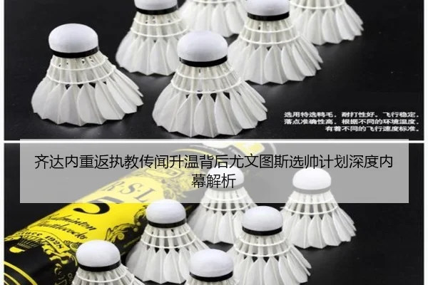 齐达内重返执教传闻升温背后尤文图斯选帅计划深度内幕解析