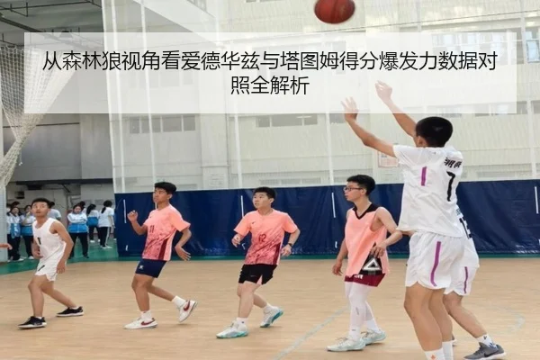 从森林狼视角看爱德华兹与塔图姆得分爆发力数据对照全解析